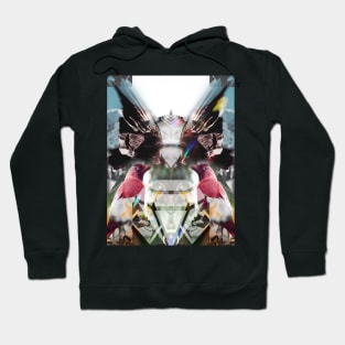 Diamondrough Hoodie